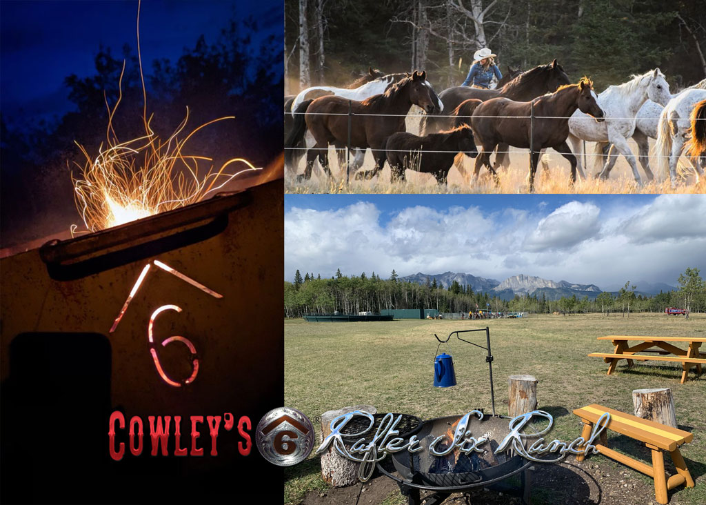 Cowley's Rafter Six® Seal